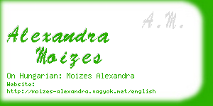 alexandra moizes business card